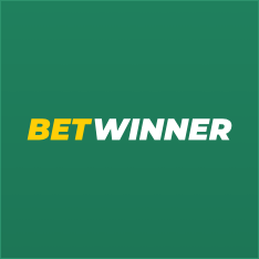 BetWinner Casino